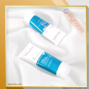 Wardah Acnederm Pure Foaming Cleanser 60ml